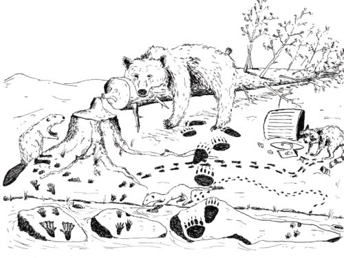 La piste des animaux