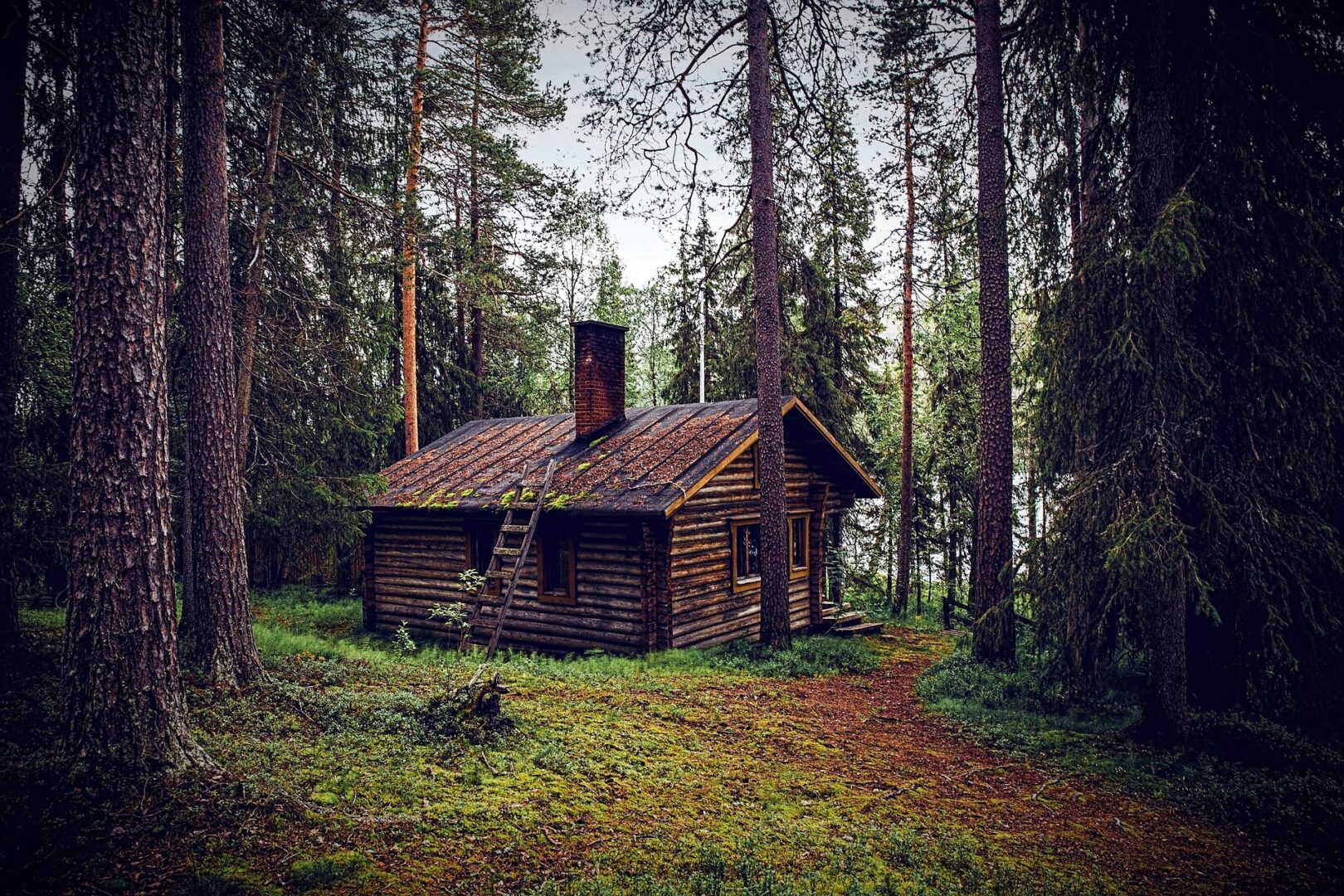 cabane dans les bois