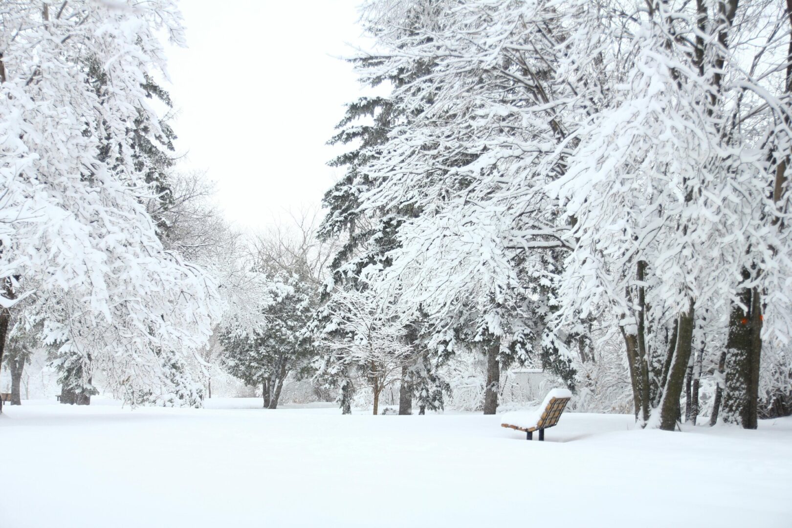 paysage hivernal