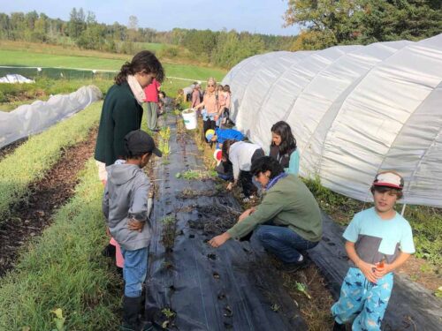 À Waterville, on sème l’entraide en même temps que des légumes