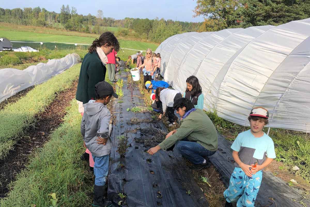 Des membres du jardin communautaire de Waterville