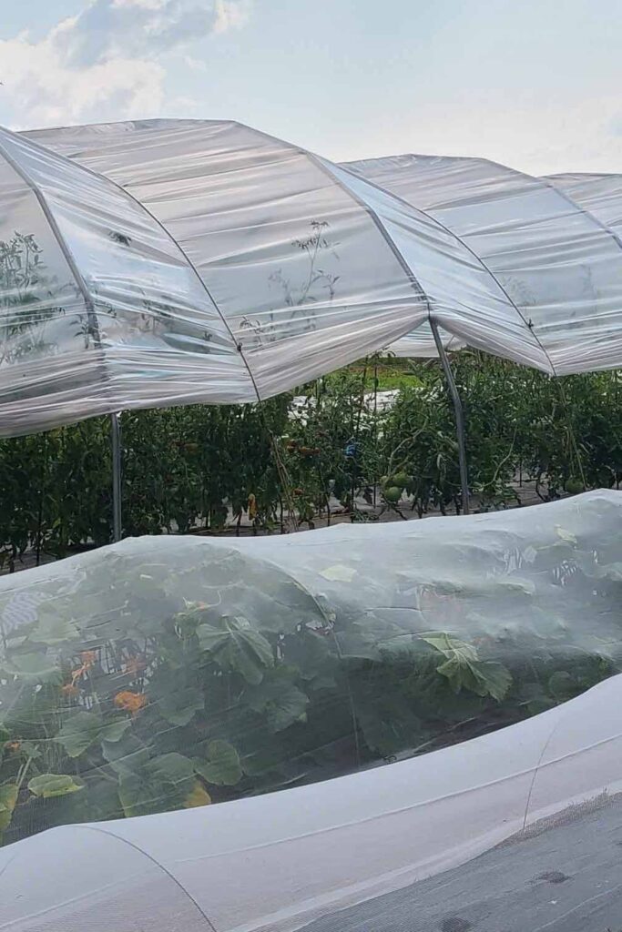 Le jardin communautaire de Waterville